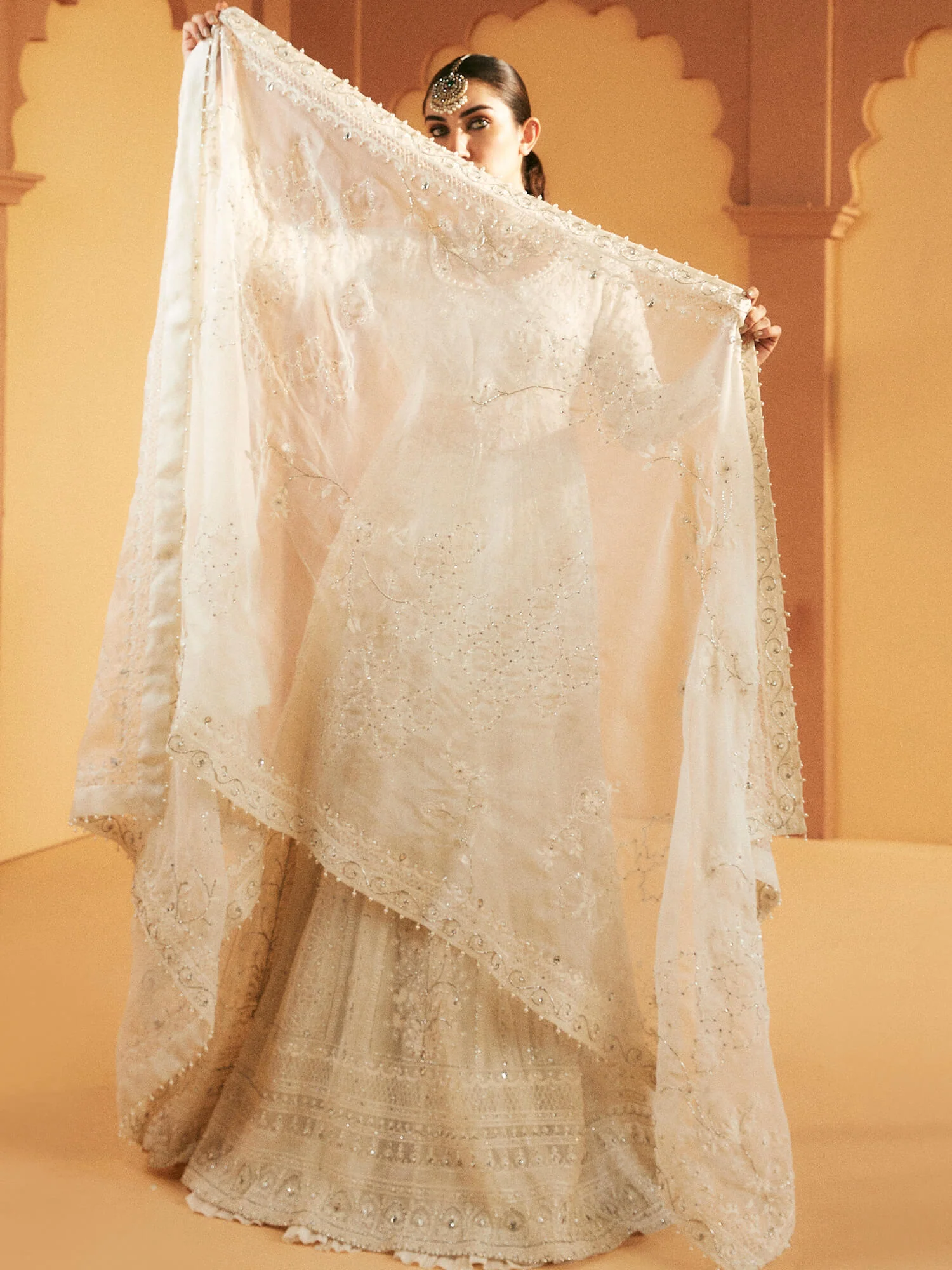 PESHWAS, CRUSHED LEHENGA & DUPATTA - Image 4